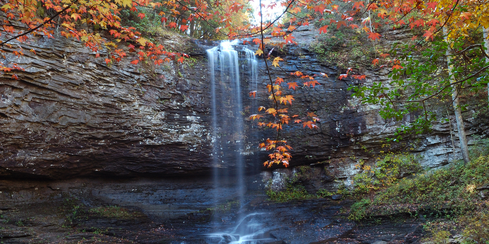 Cloudland Canyon State Park