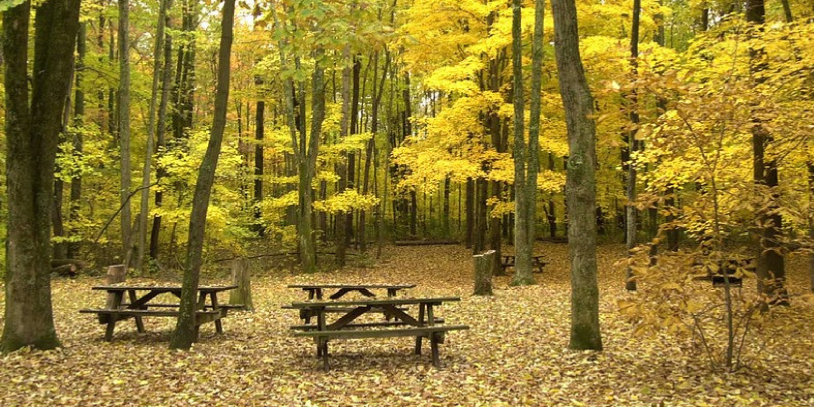 John Bryan State Park_h