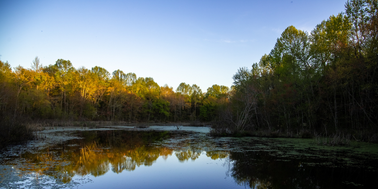 Mammoth Cave National Park_h