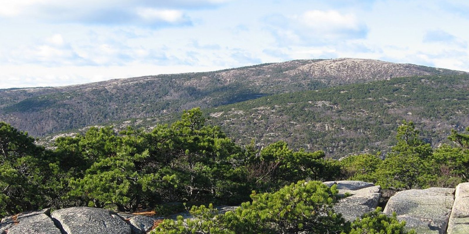 Cadillac Mountain_h
