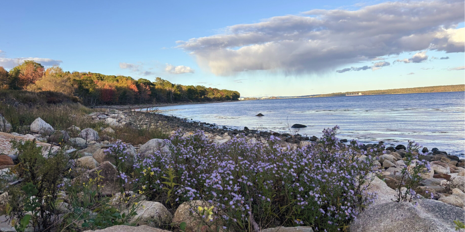 Moose Point State Park_h