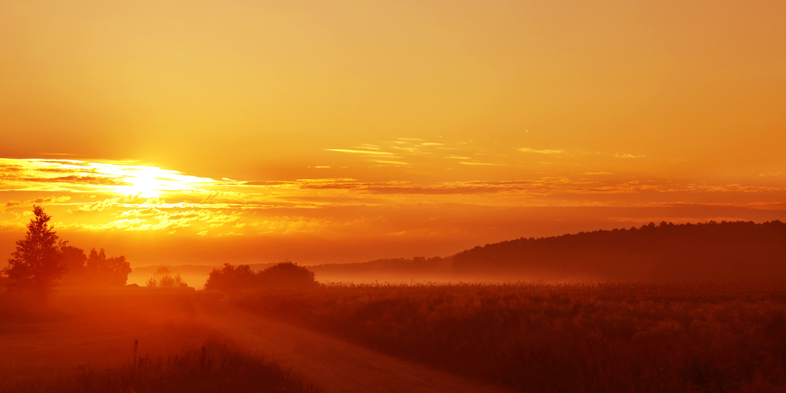 Sunrise_h