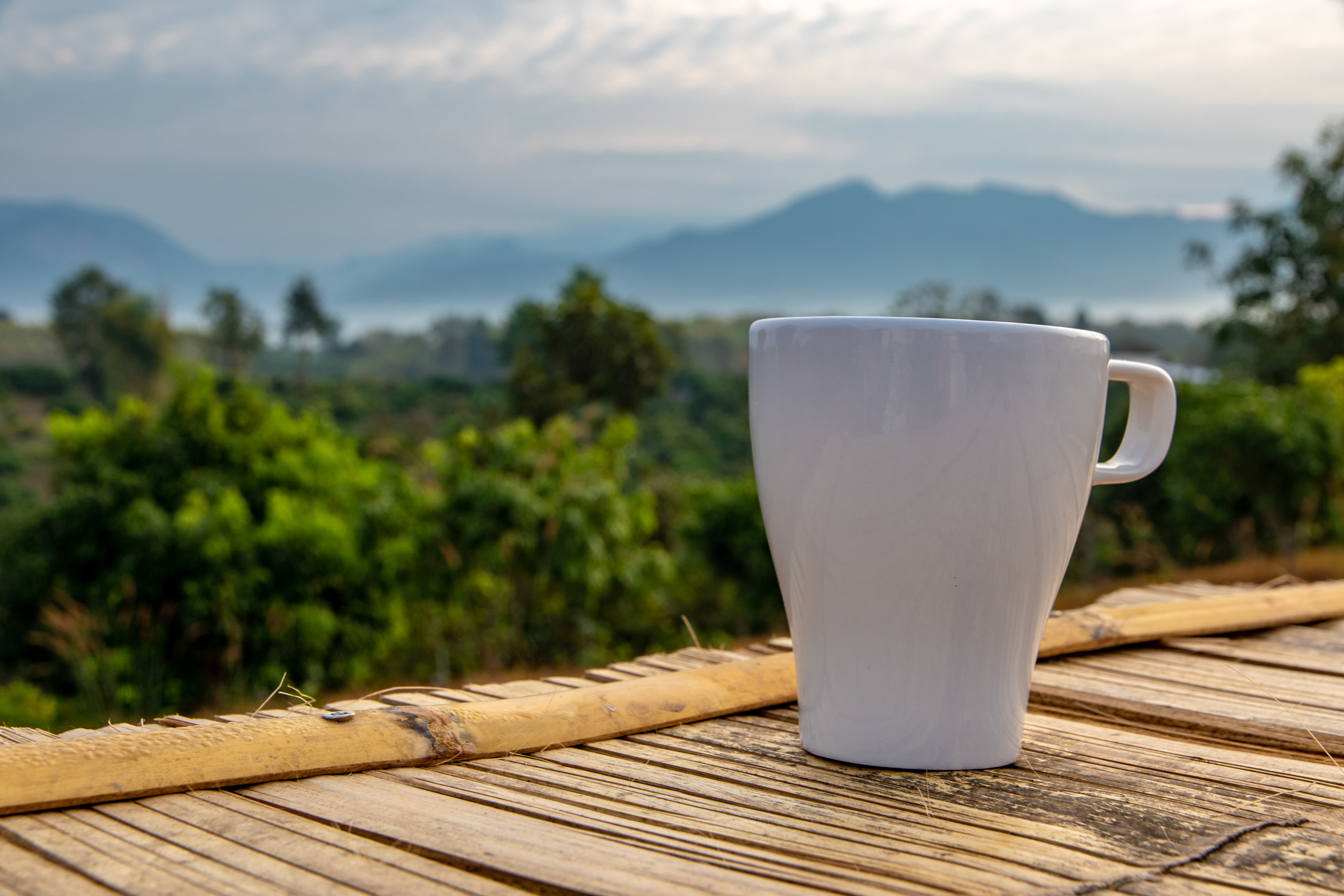 Coffee