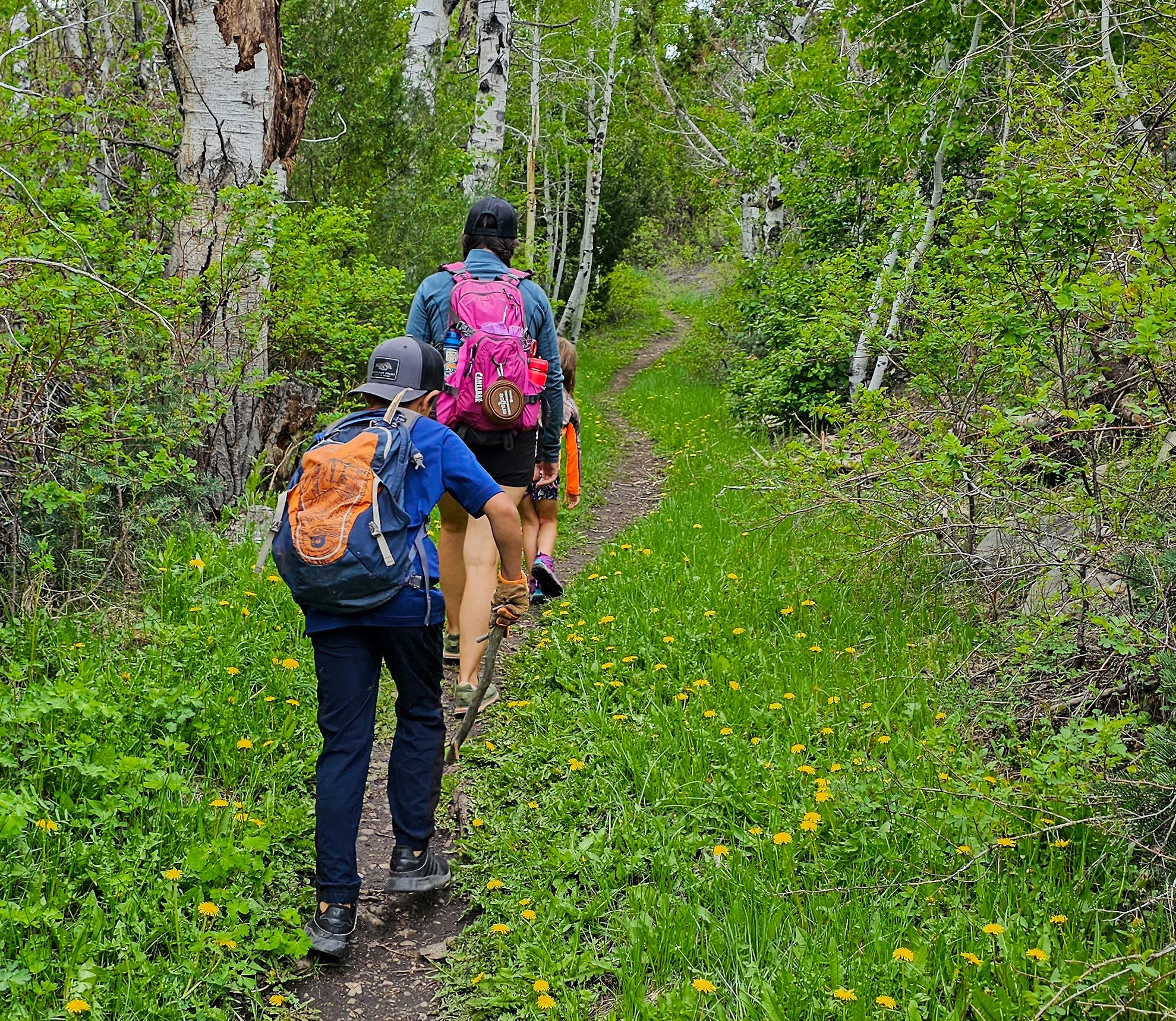 Hiking trail