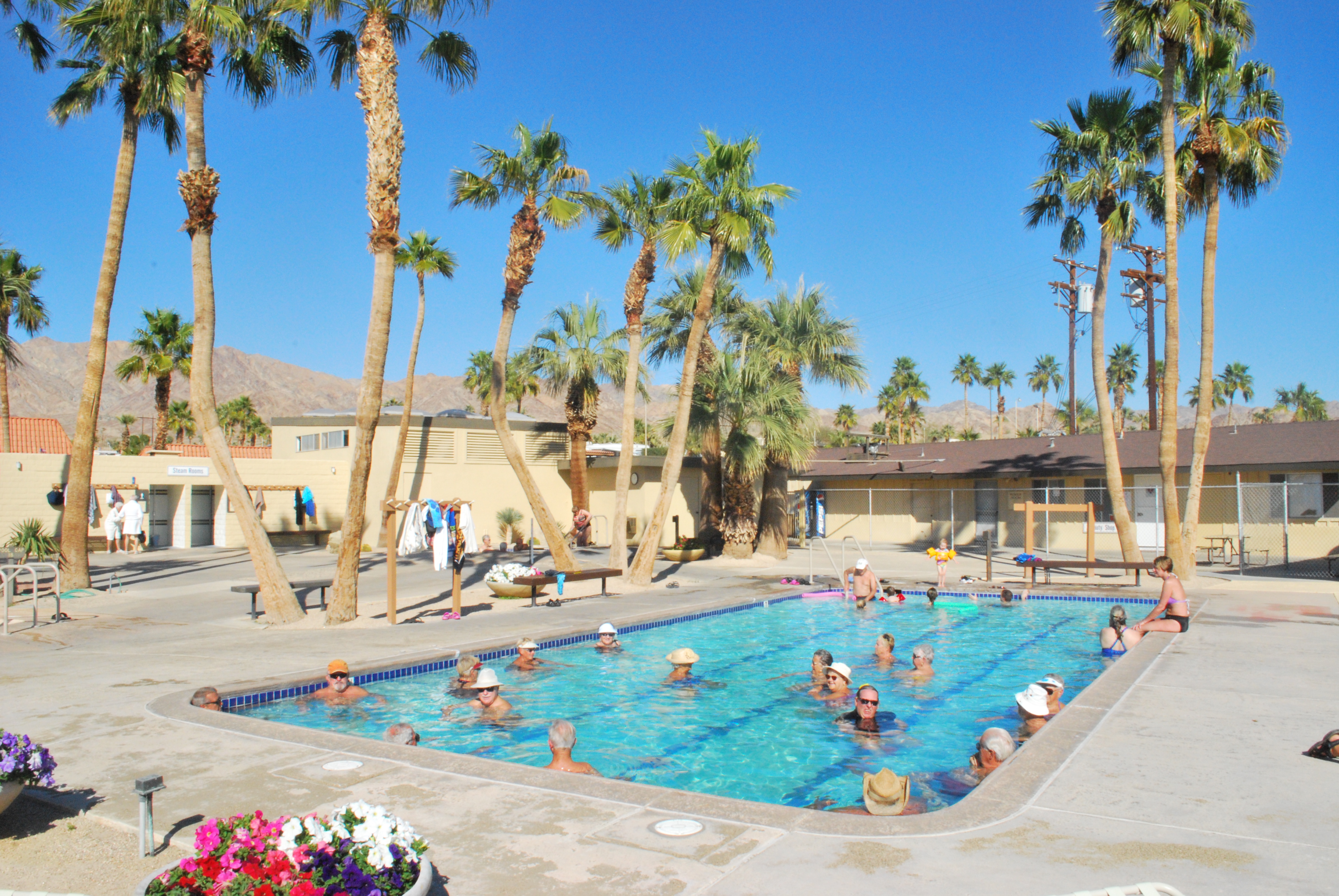 A group of people in a pool