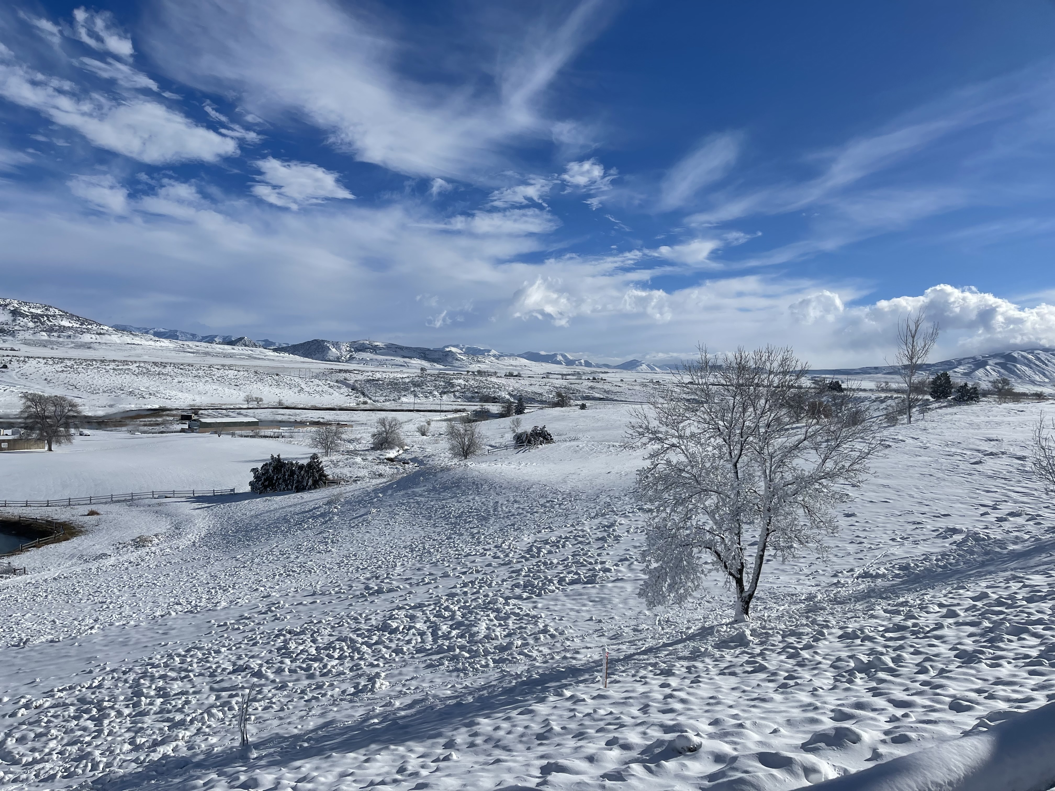 A snowy landscape