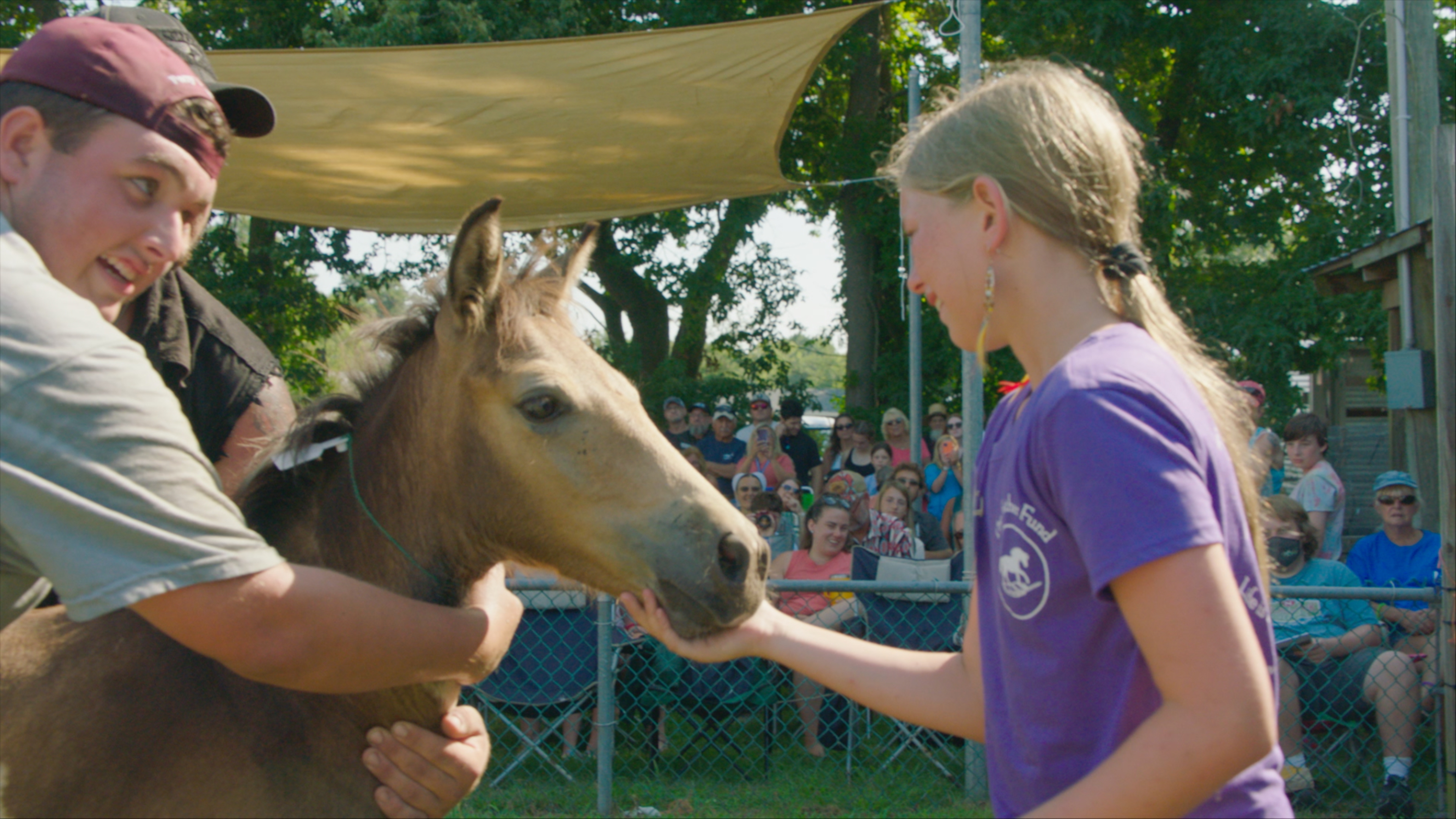 Girl petting a horse