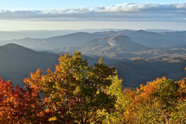 Pisgah National Forest