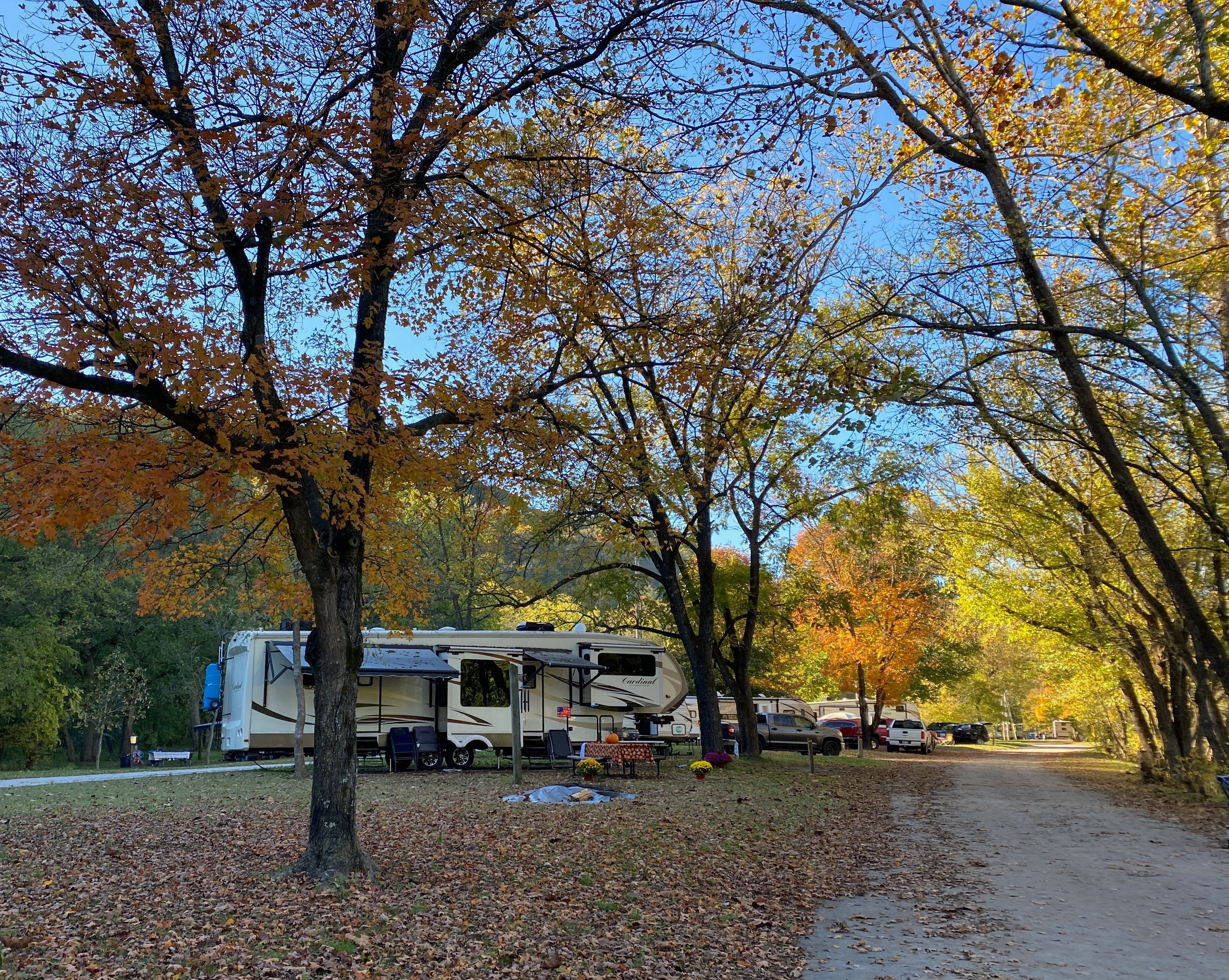 RV in the woods on a fall day