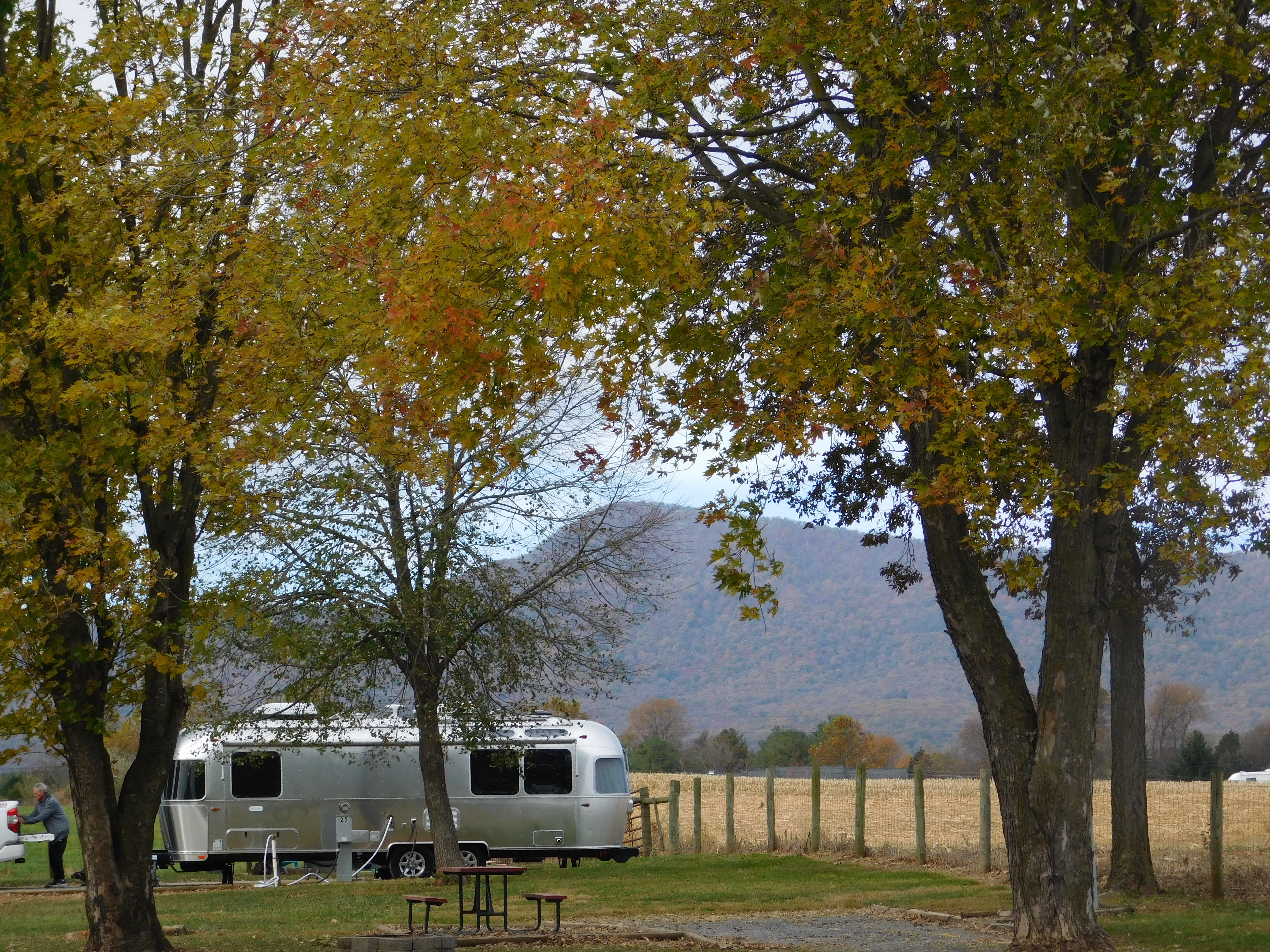 Shenandoah Views Airstream