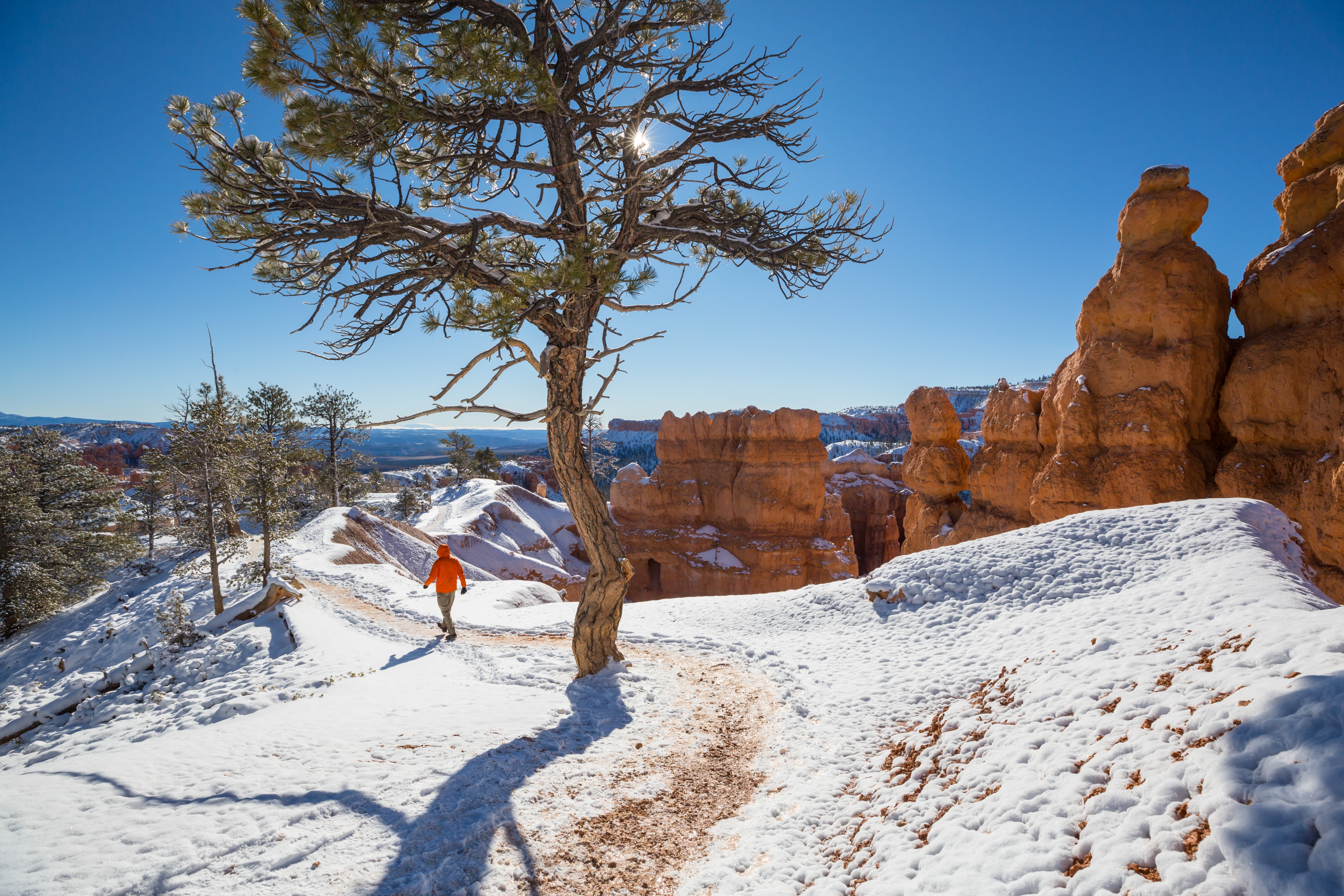 WinterHike