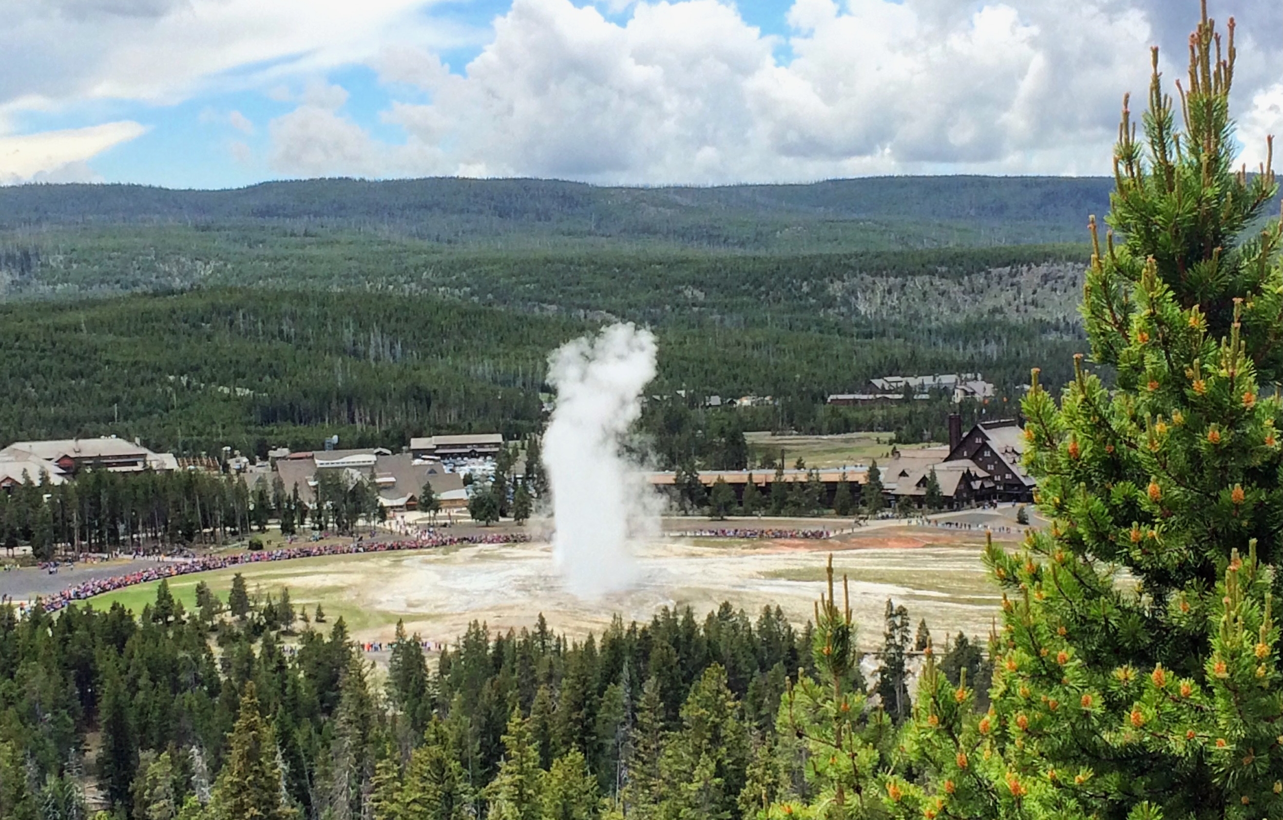 Yellowstone Old Faithful