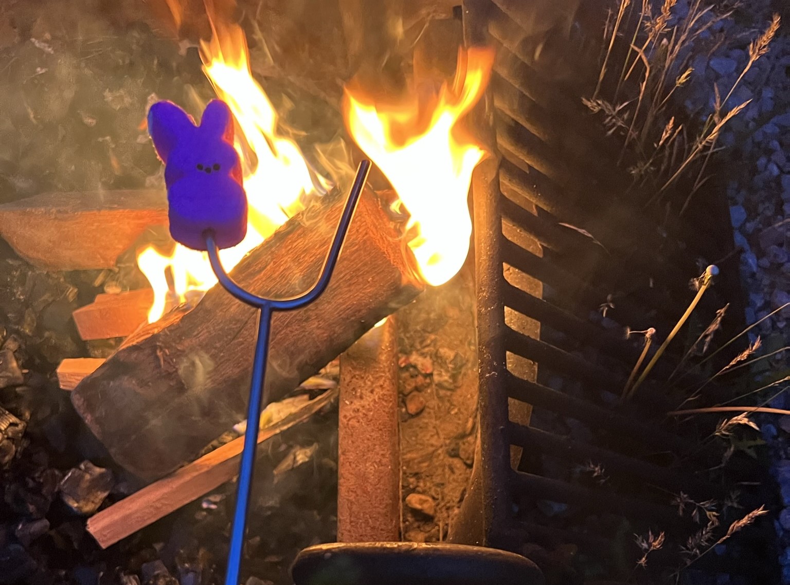 roasting marshmallow