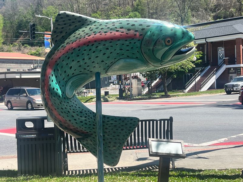 Fly fishing