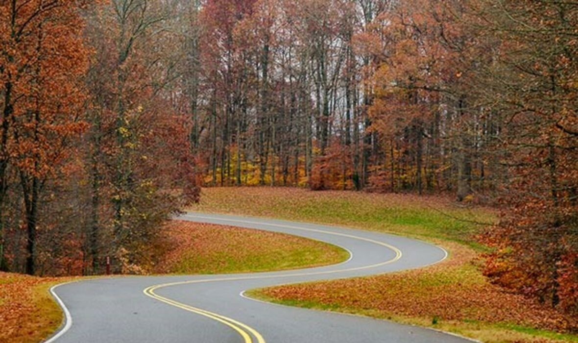 A road in fall.jpg