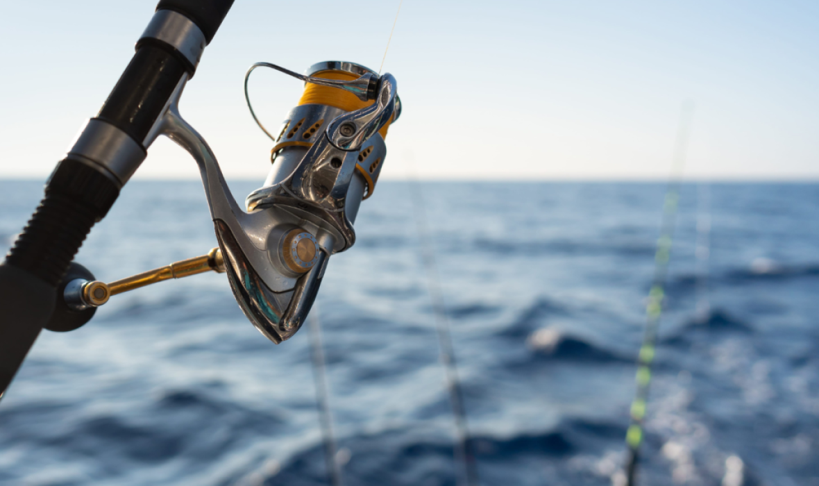 Fishing Line_h 