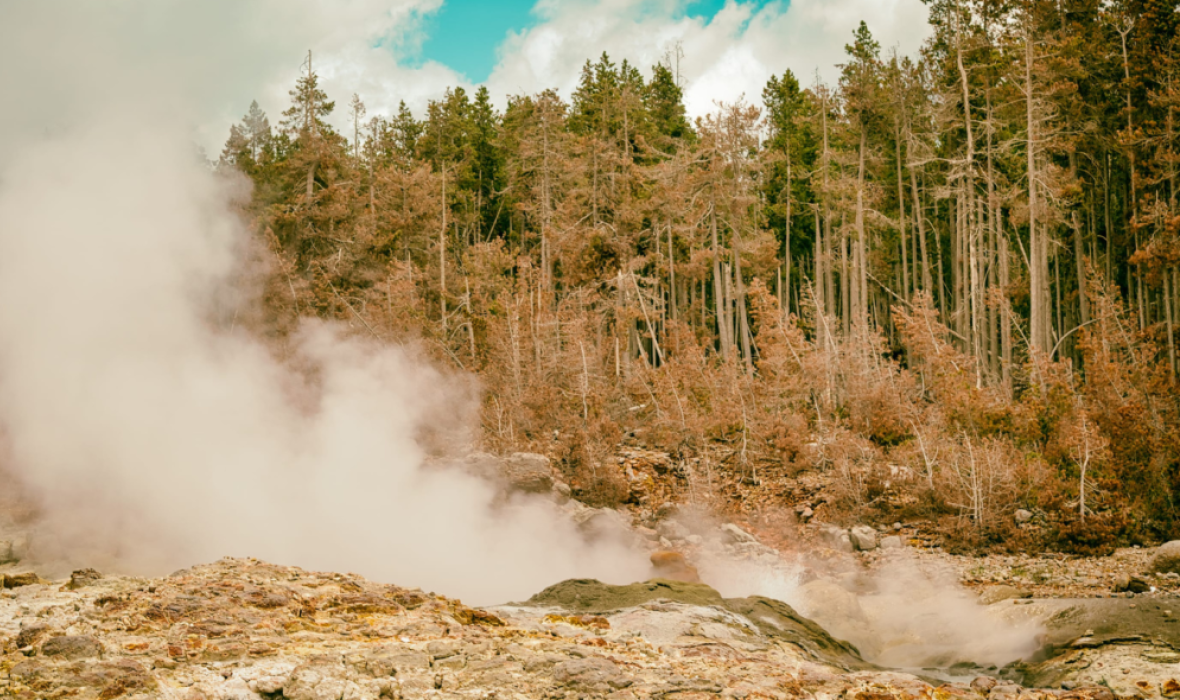 Yellowstone_h
