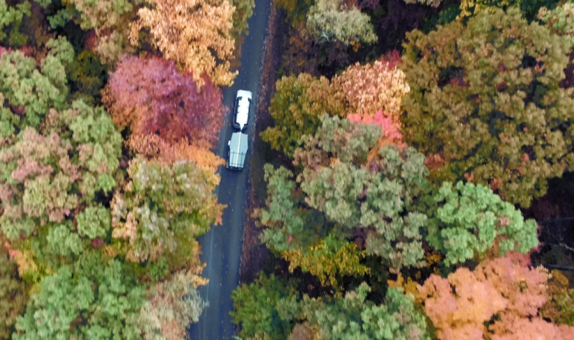 Fall_h
