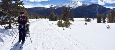 Winter Wonderland