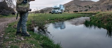 Living on the Fly