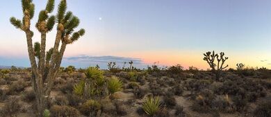 8 Underrated National Parks That Will Leave You Speechless
