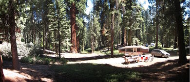 park