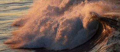 surfing
