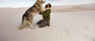 Furry Friends topic landing