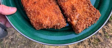 Panko Fried Wild Salmon Recipe