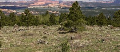 RVing Through The Grand Circle