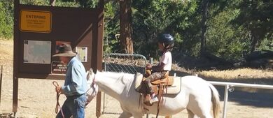 Camping 101 with Kids