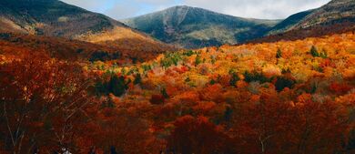 New Hampshire