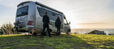 Class B With Couple and Dogs