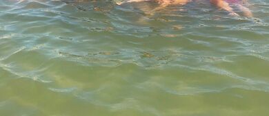 Virginia's Eastern Shore