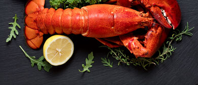 lobster