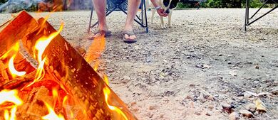 man at fire feeding dog