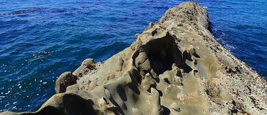 Oregon Coast