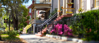 Jones Street in the Spring