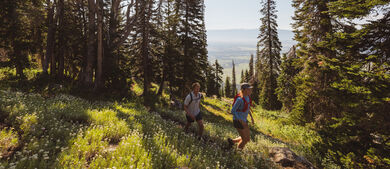 Jackson Hole
