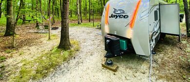 Jayco trailer in the woods