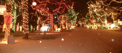 Christmas at Jellystone Park in Caledonia, Wisconsin