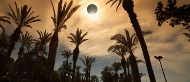 Eclipse and palm trees