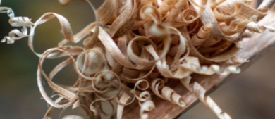 Wood shavings curling on stick.png