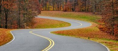A road in fall.jpg