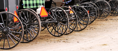Amish Buggies.png