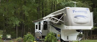 RV parked in forest