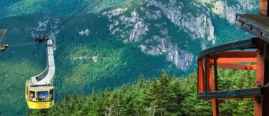 White Mountains 