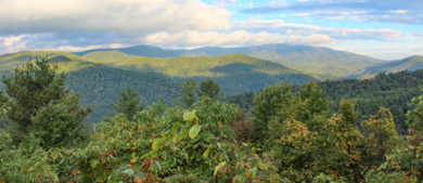 Great Smoky Mountains National Park