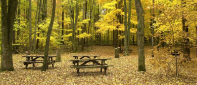 John Bryan State Park_h