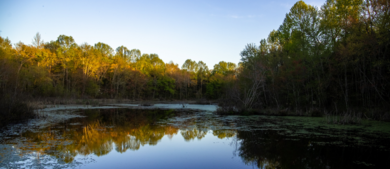 Mammoth Cave National Park_h